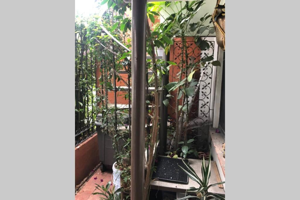 Amplia Habitación tipo Ejecutiva con baño y acceso privados Toluca Exterior foto